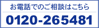 0120-265481
